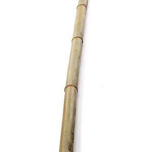 Caña de bambú 2