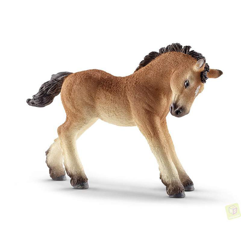 ARDENNESE COLT