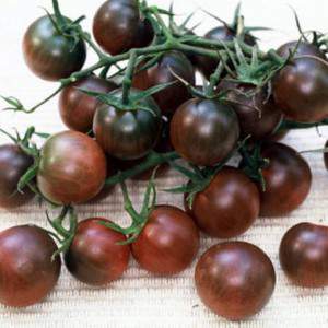 tomatoes little black cherry