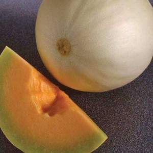 Smooth cantaloupe melon