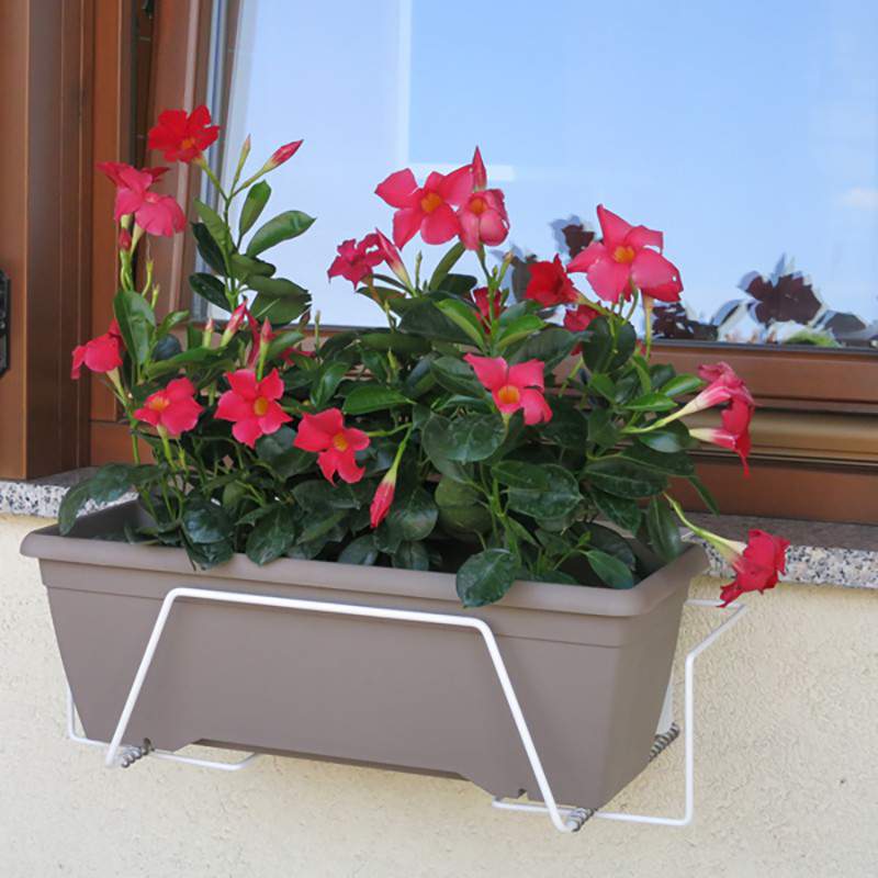 Silvano 40 cm bianco con fiori rossi. Silvano 40 cm bianco con fiori rossi.