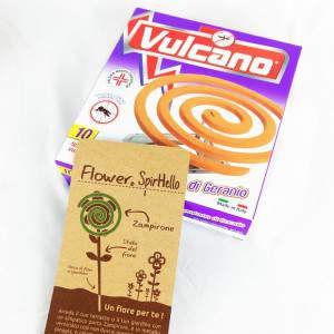 Gerânio vulcão extra espiral com flor de SpirHello