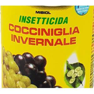 Insektizid Winter Cocciniglia Weißöl 500ml