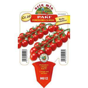 Paki Cherry Pomidor 10cm doniczka
