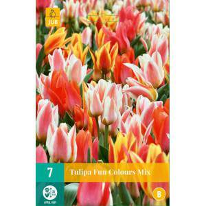 Cebulki tulipana w zabawnych kolorach