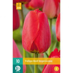 bulbo tulipán rosa impresión rosa