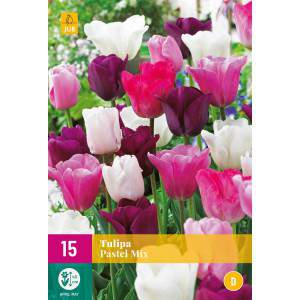 Bulbos de tulipa Pastel Mix