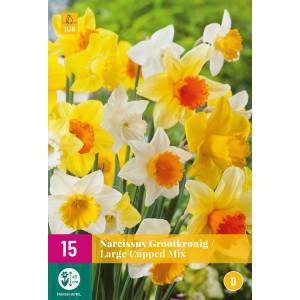 Largeflowering Mix Narcissus bulbs