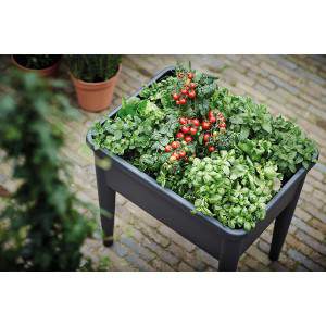 Elho Green Basics Grow Table Super Xxl - Plantador - Leaf Green - Outdoor - C 76,7 x L 58,1 x A 73,1 cm