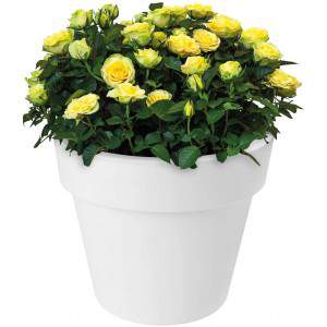 Elho Flower Pot Green Basics Top Planter 23cm en Noir Actif, 23x23x19 cm