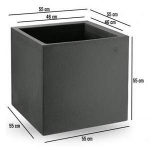 Cosmos Double Wall Cube...