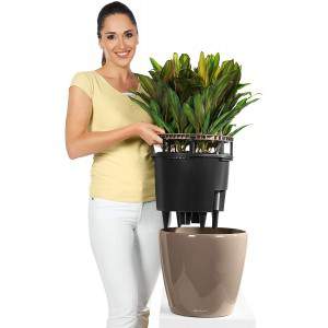 Lechuza 16085 CLASSICO Premium LS 43 Herausnehmbarer Pflanzeinsatz mit patenteiertem Griffrahmen, Taupe Hochglanz, Hochwertiger 