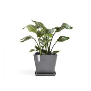 Ashortwalk ECOPOTS - Square saucer in recycled plastic, length 28 cm x height 3 cm, color: gray