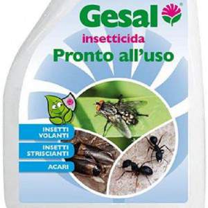 Gesal ready-to-use insecticide for flying insects, crawling insects and mites.