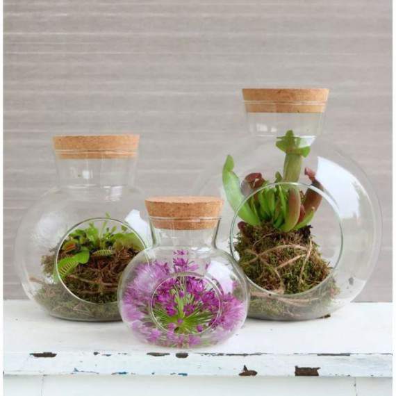 Terrarium Ball With Opening...