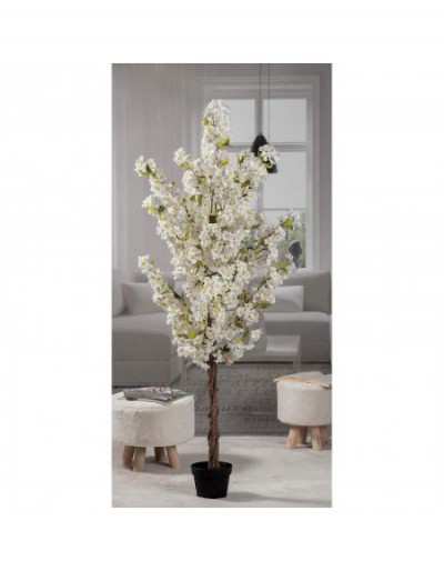 Vase with White Cherry for...