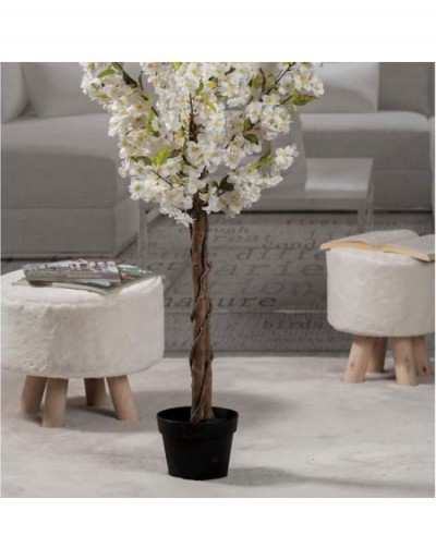 Vase with White Cherry for...