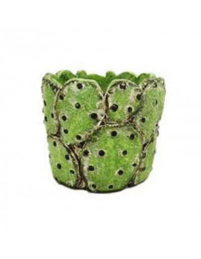 Cactus Cache Pot