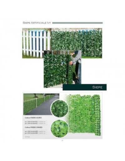 Dark Green Ivy Hedge