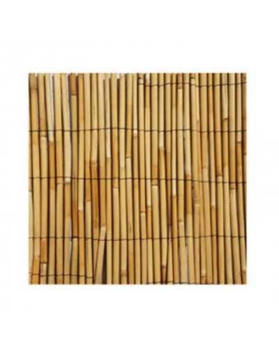 Big Bamboo Wattle 150 x 300 cm