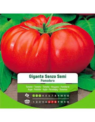 Giant Seedless Tomato Seeds...