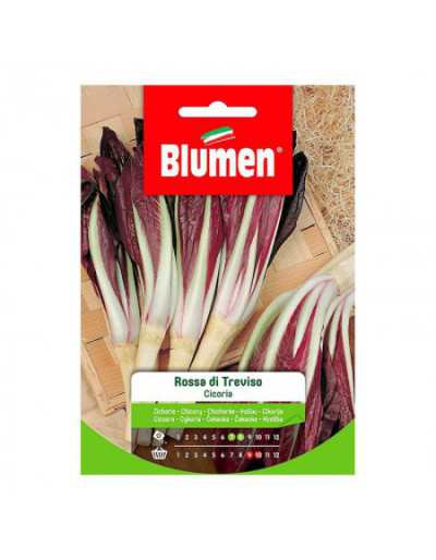 Red Chicory Seeds from...