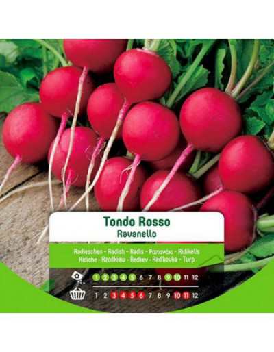 Round Red Radish Seeds in Bag