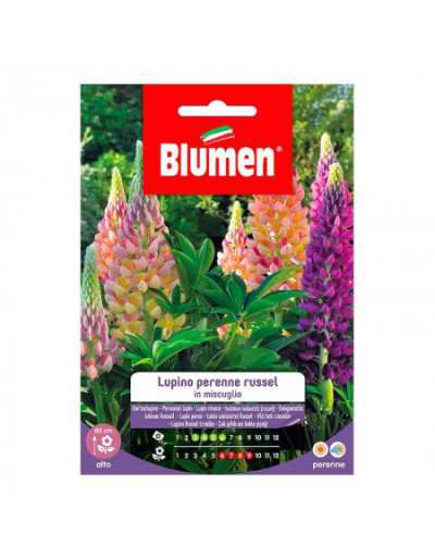 Russel Perennial Lupine...