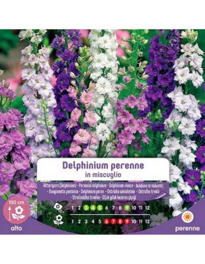 Semi di Delphinium Perenne...