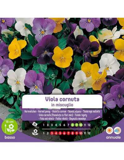 Mixed Viola Cornuta Seeds...