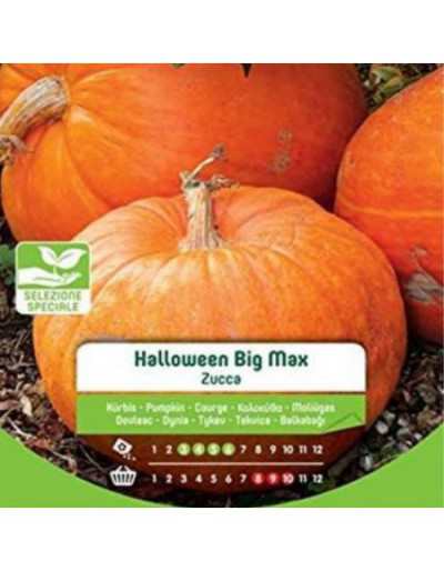 Big Max Halloween Pumpkin...