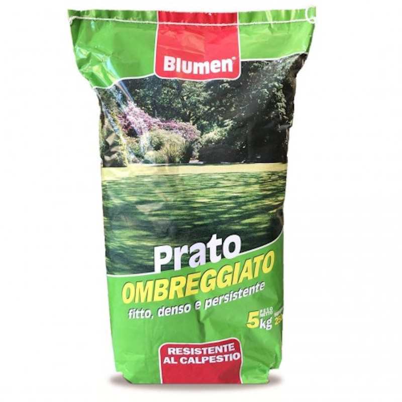 Strong Shaded Lawn Seeds 5 Kg