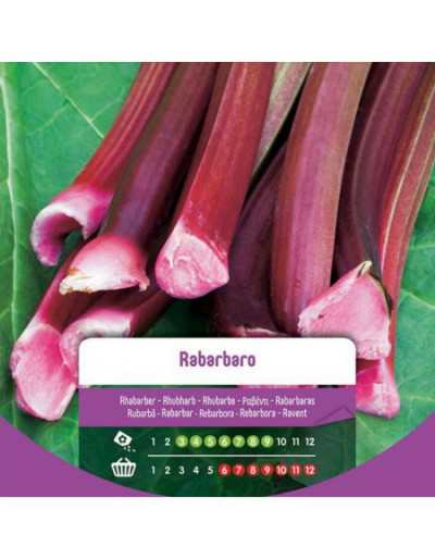 Rhubarb Seeds in Bag