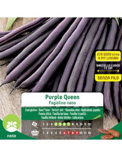 Purple Queen Dwarf Green...