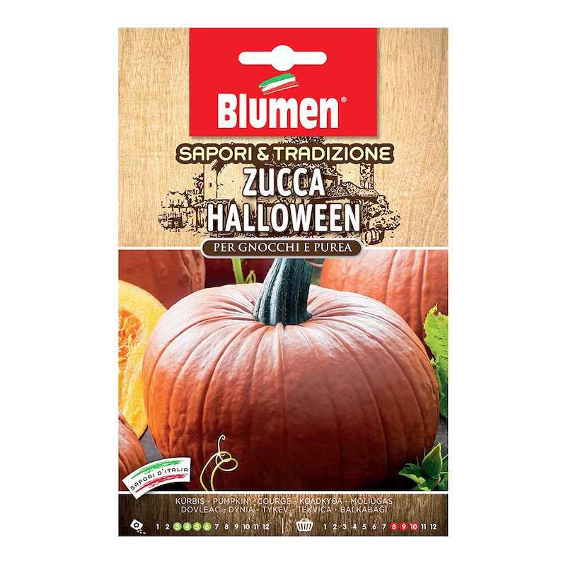 Halloween Pumpkin Seeds in Bag