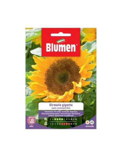 Edible Giant Sunflower Seeds
