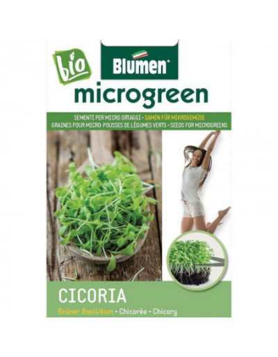 Seeds for Chicory Micro-shoots