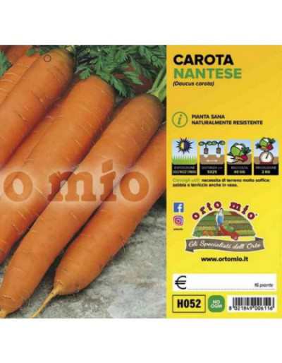 Nantese Soprano Carrot Plants