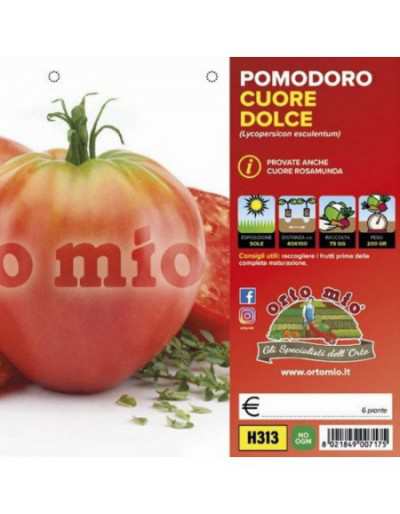 Piante di Pomodoro a Cuore...