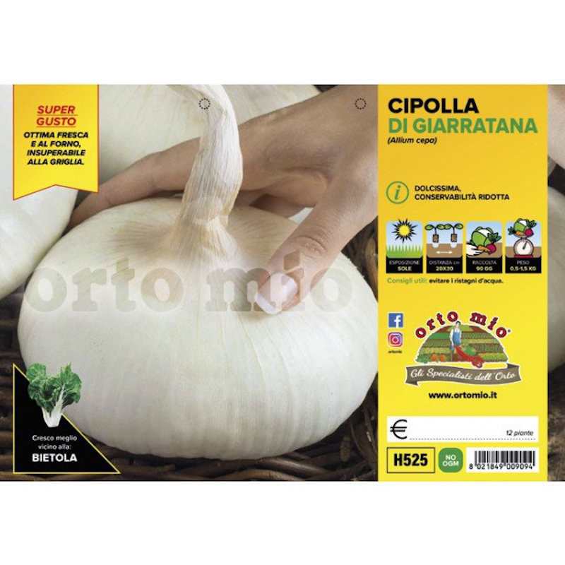 Giant Onion of Giarratana