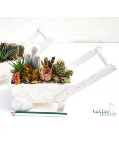 Composition Cactus Wooden Cart