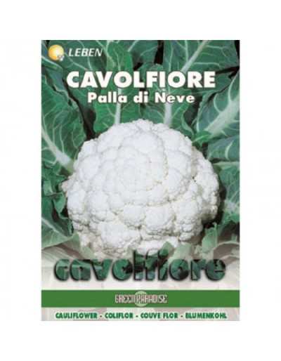 Cauliflower - Palla di Neve