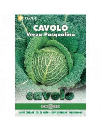 Couve - Verza Pasqualino