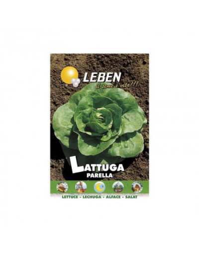 Green Parella Lettuce