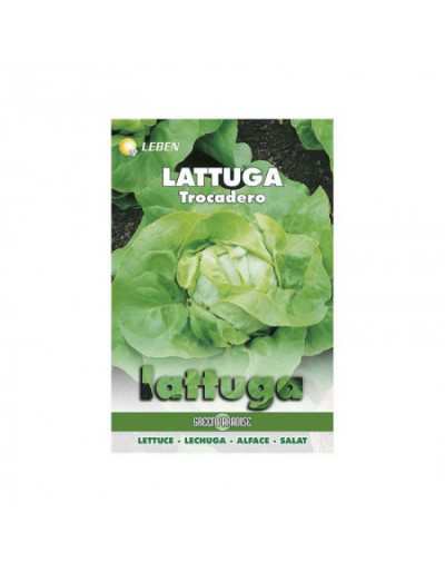 Trocadero lettuce