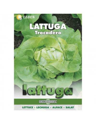 Trocadero lettuce
