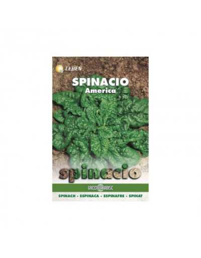 Spinach America