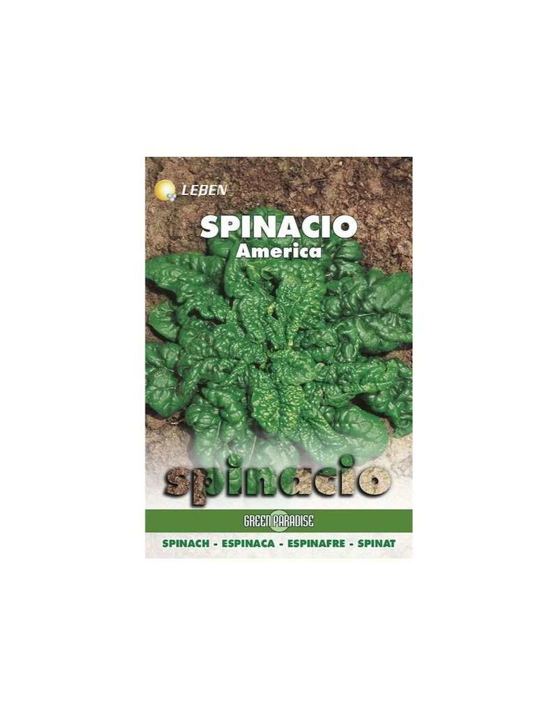 Spinach America