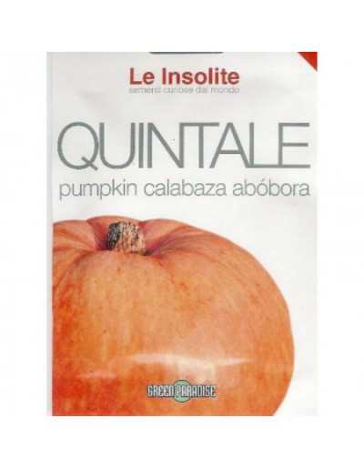 Quintal Pumpkin