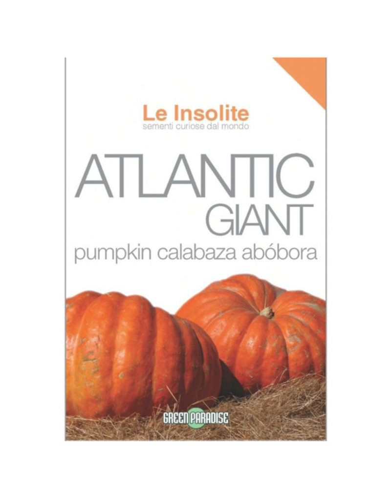 Atlantic Giant Pumpkin